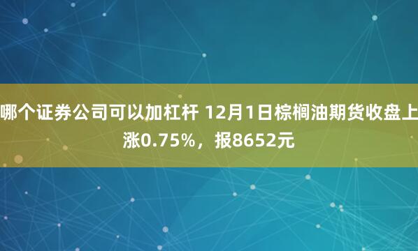 哪个证券公司可以加杠杆 12月1日棕榈油期货收盘上涨0.75%，报8652元