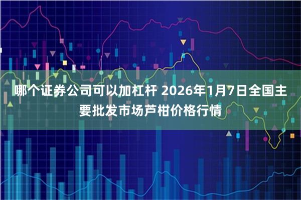 哪个证券公司可以加杠杆 2026年1月7日全国主要批发市场芦柑价格行情