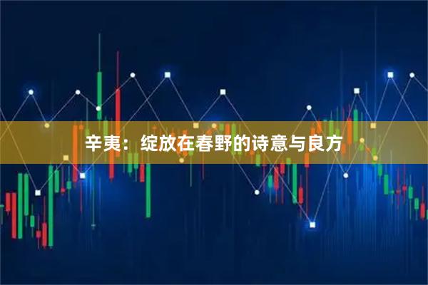 辛夷：绽放在春野的诗意与良方