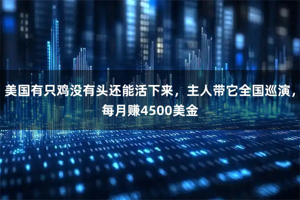 美国有只鸡没有头还能活下来，主人带它全国巡演，每月赚4500美金