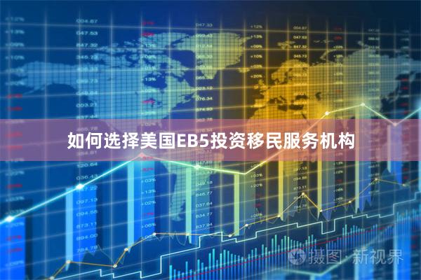 如何选择美国EB5投资移民服务机构