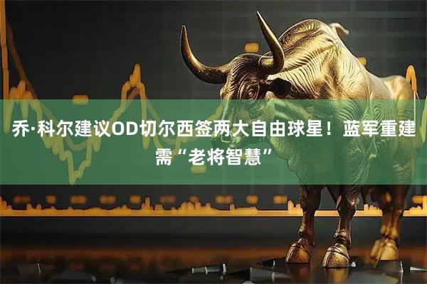 乔·科尔建议OD切尔西签两大自由球星！蓝军重建需“老将智慧”