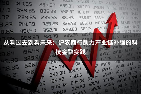 从看过去到看未来:沪农商行助力产业链补强的科技金融实践